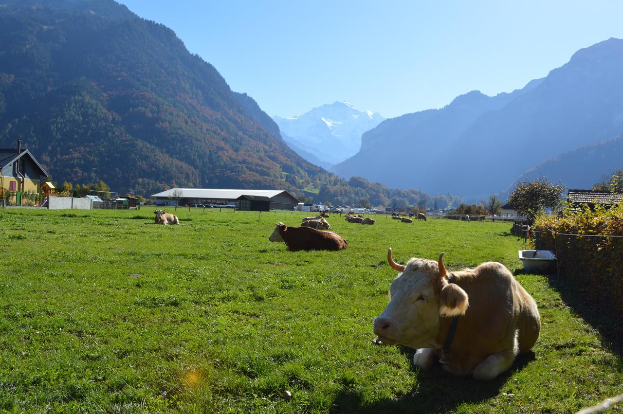 Jungfrau Family Holiday Home Matten bei Interlaken Esterno foto